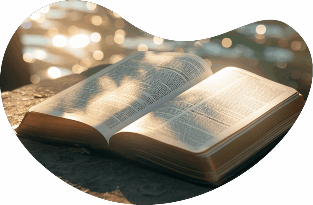 libros recomendados para acompa&ntilde;ar tu proceso