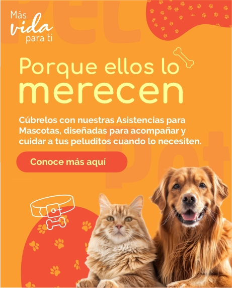 ASISTENCIAS PARA MASCOTAS